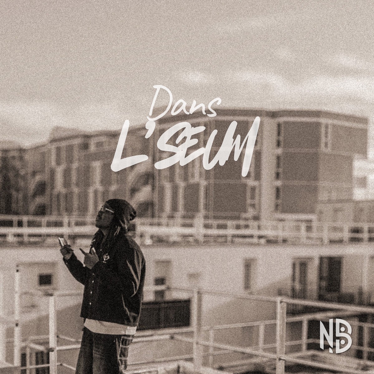 Dans l’seum - Single by Neybii S album cover
