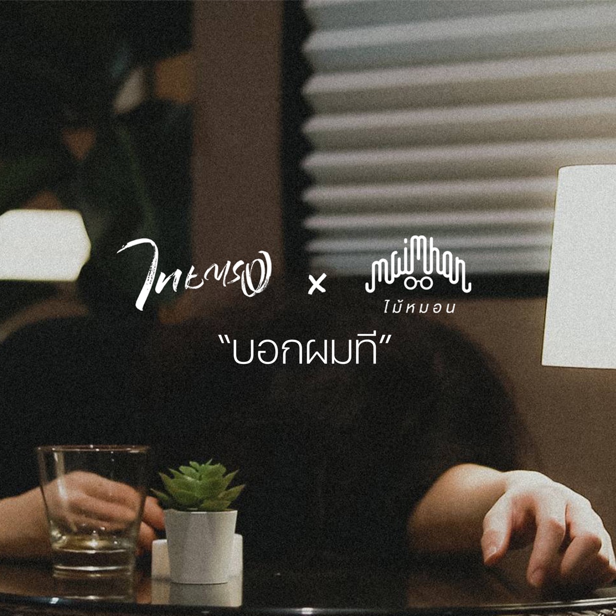 บอกผมที - Single by Thaitrong & Maimhon album cover