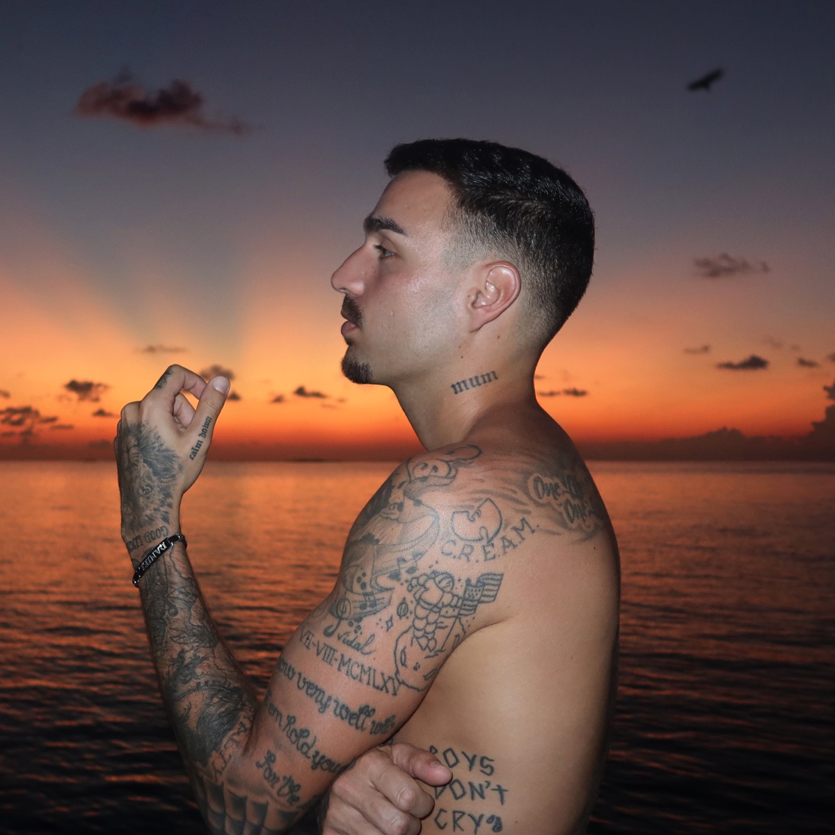a new star (1 9 9 3) by Rels B album cover