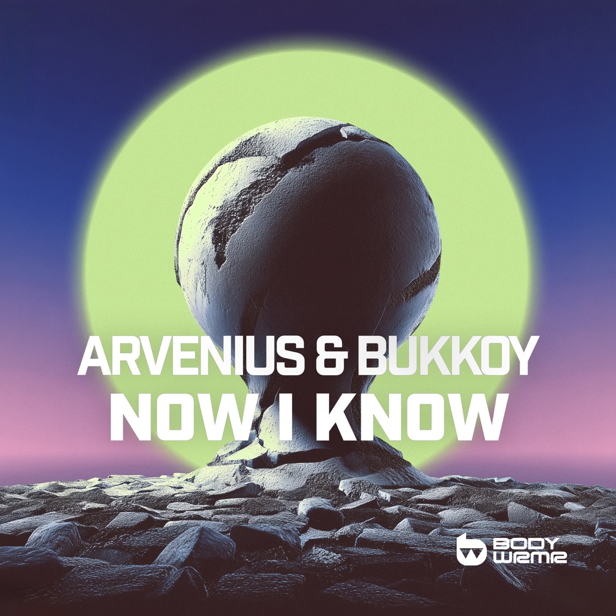 Now I Know - Single by Arvenius & Bukkoy album cover