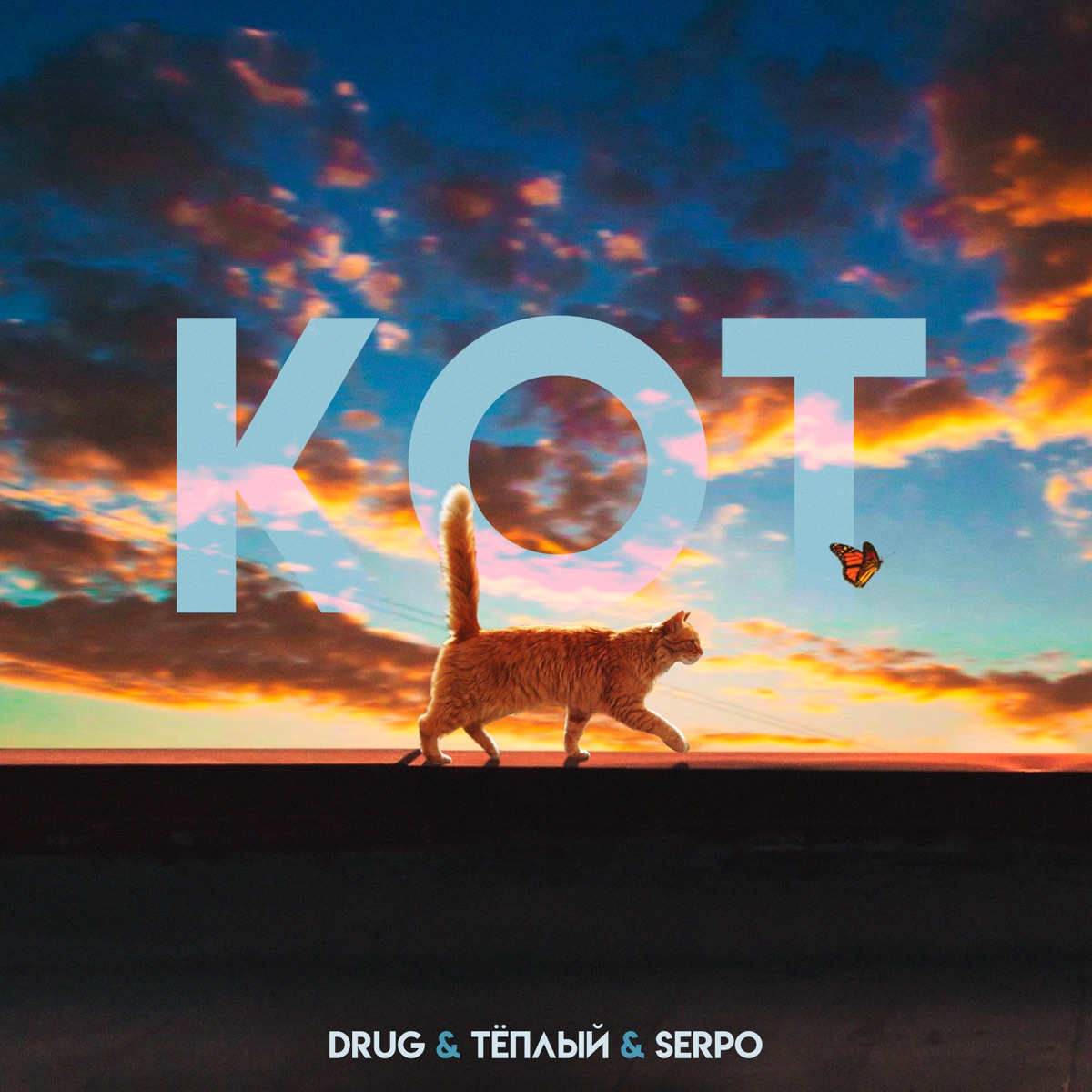 Кот - Single by Drug, SERPO & Тёплый album cover