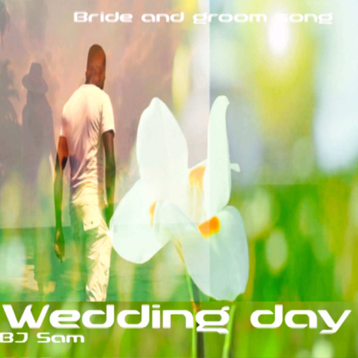 Wedding Day (Bride and Groom Song) - Single [feat. Biggi Vinkeloe, Magnus Rosén, Sarah Tighman, Mikael Erlandsson, Helge Hanssen, Sarah Toscano & Spyro] - Single by BJ Sam album cover