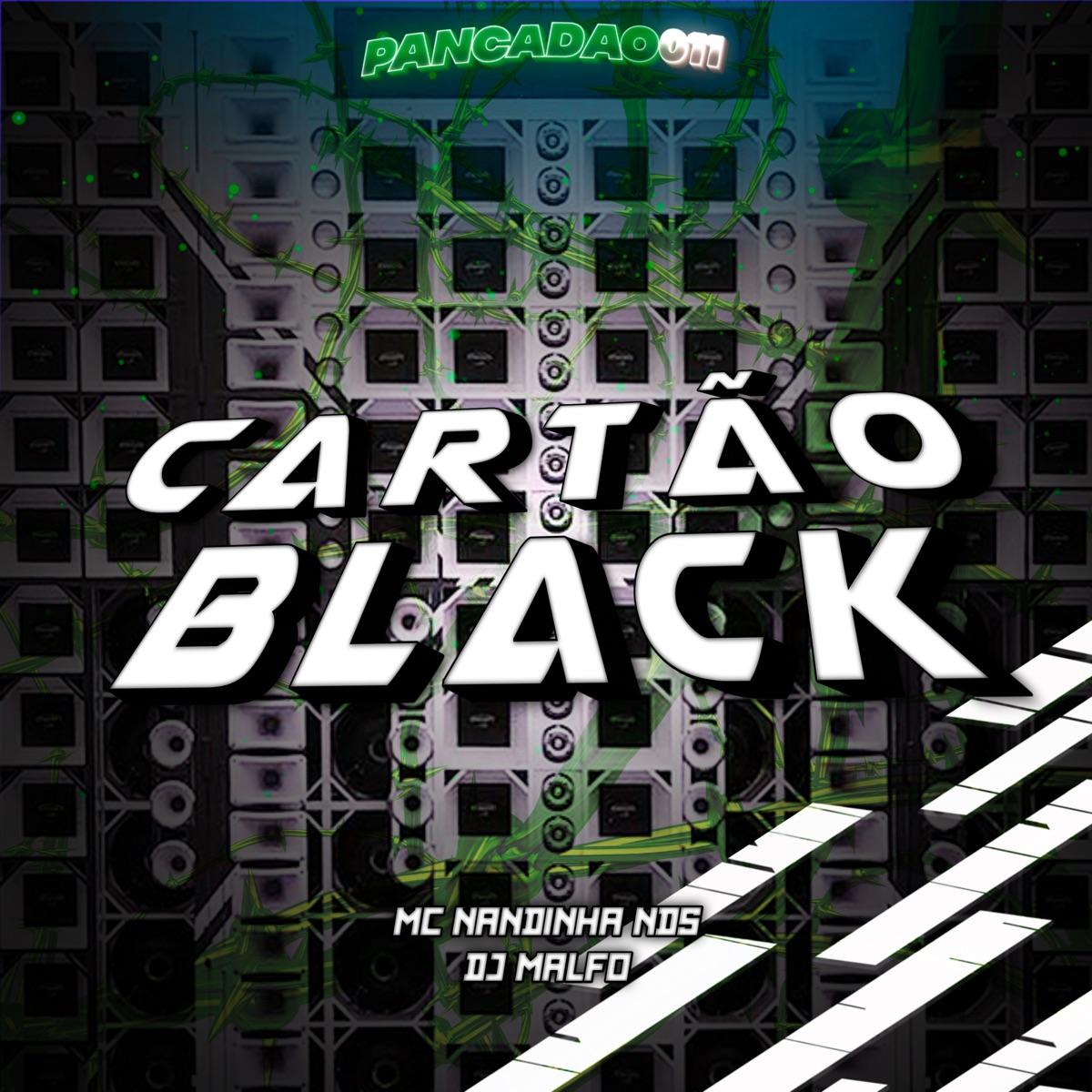 Cartão Black - Single by MC Nandinha NDS, DJ MALFO & Pancadão 011 album cover