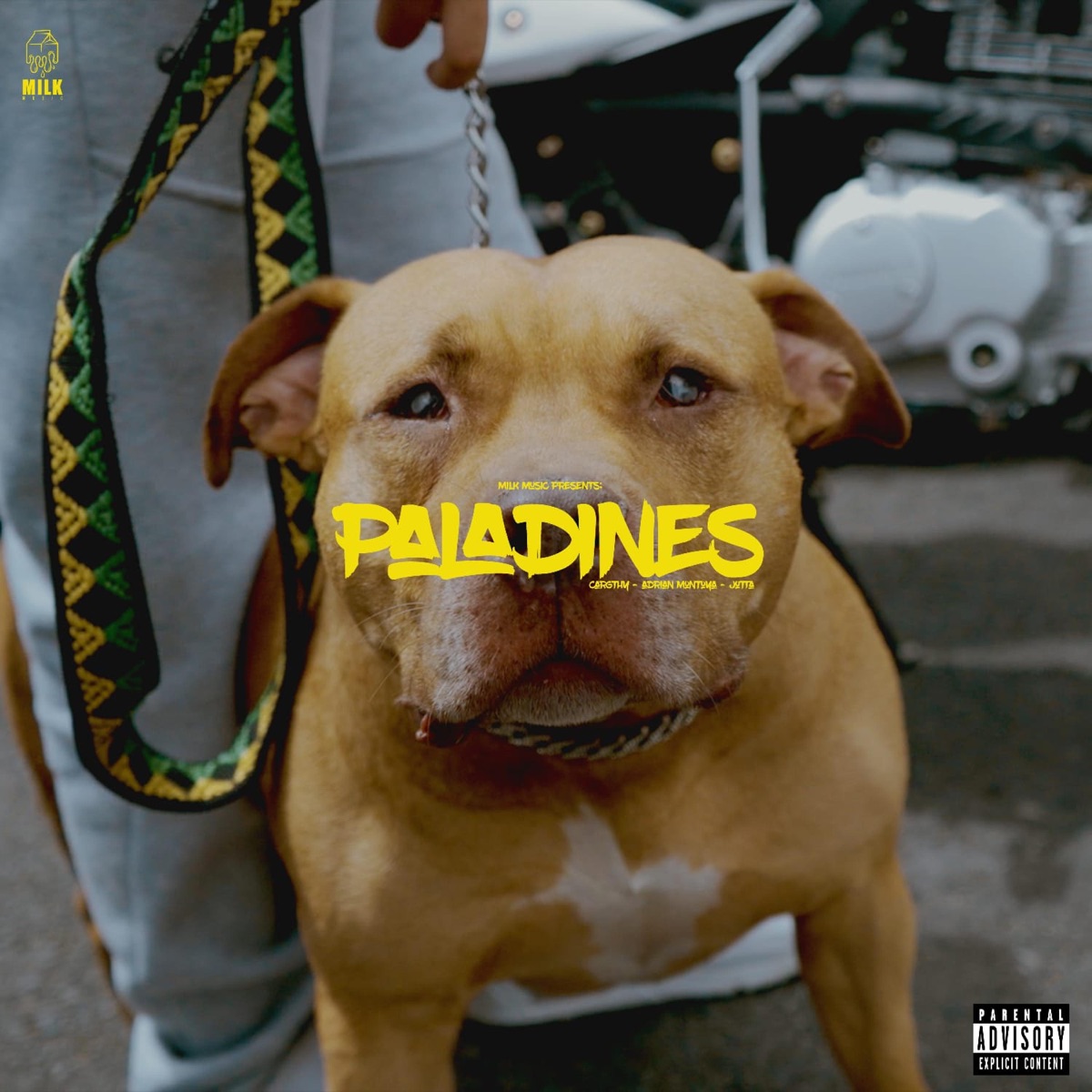 PALADINES X CARGHTY (feat. Adrian Montoya & Jolta) - Single by Carghty album cover