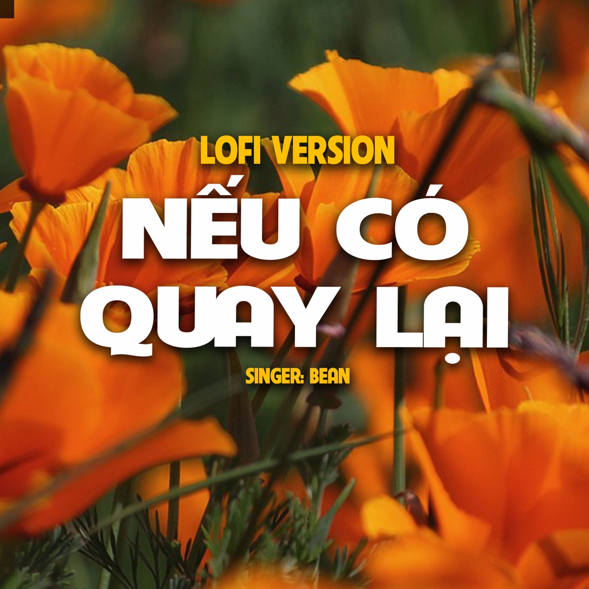 Nếu Có Quay Lại (Lo-Fi) [feat. Bean] - Single by Chips Lofi album cover