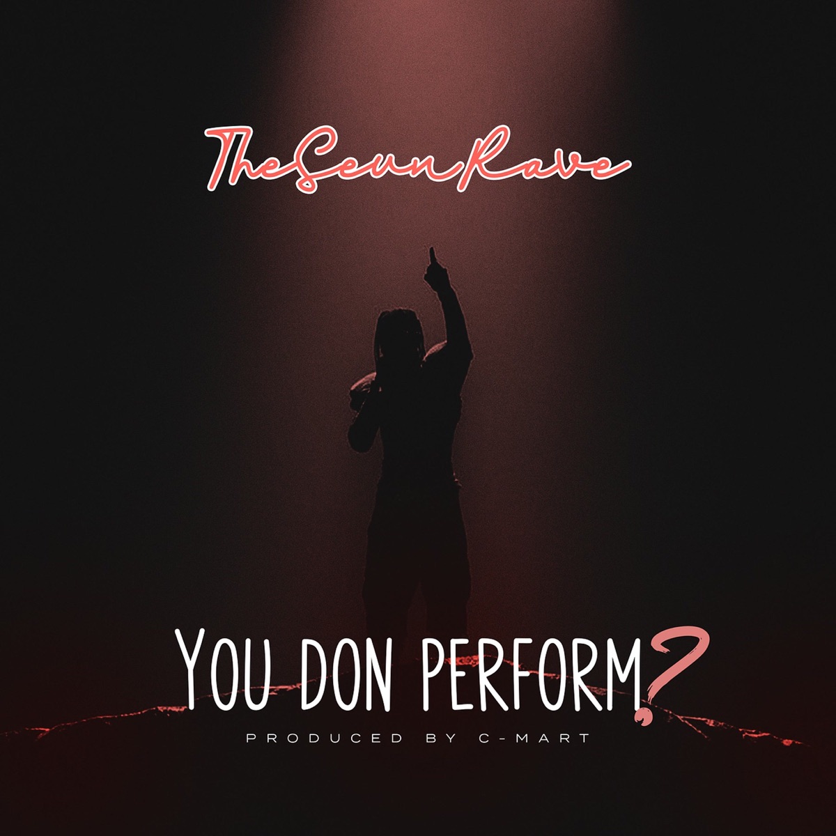You Don Perform? - Single by The Seun Rave album cover