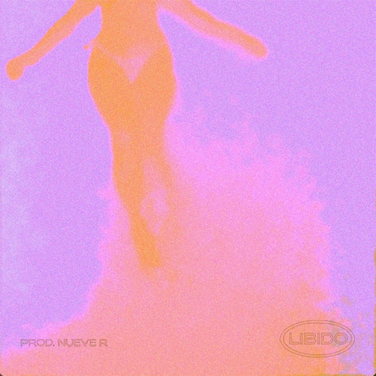 Libido - Single by Nueve R album cover