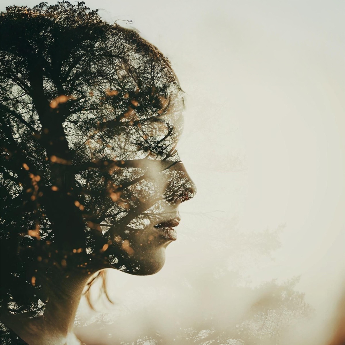 When the Soul Feels Safe by Rose Wanders, Kenny Woid & Frank Waha album cover