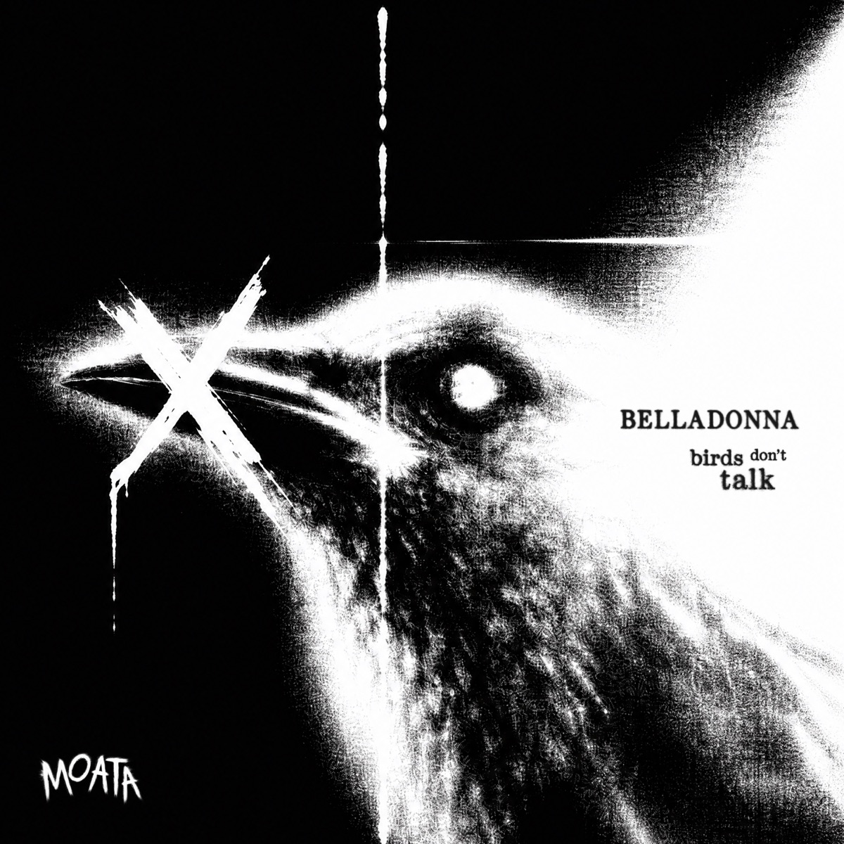 Birds Don't Talk - Single by Belladonna (ofc) & Noctura album cover