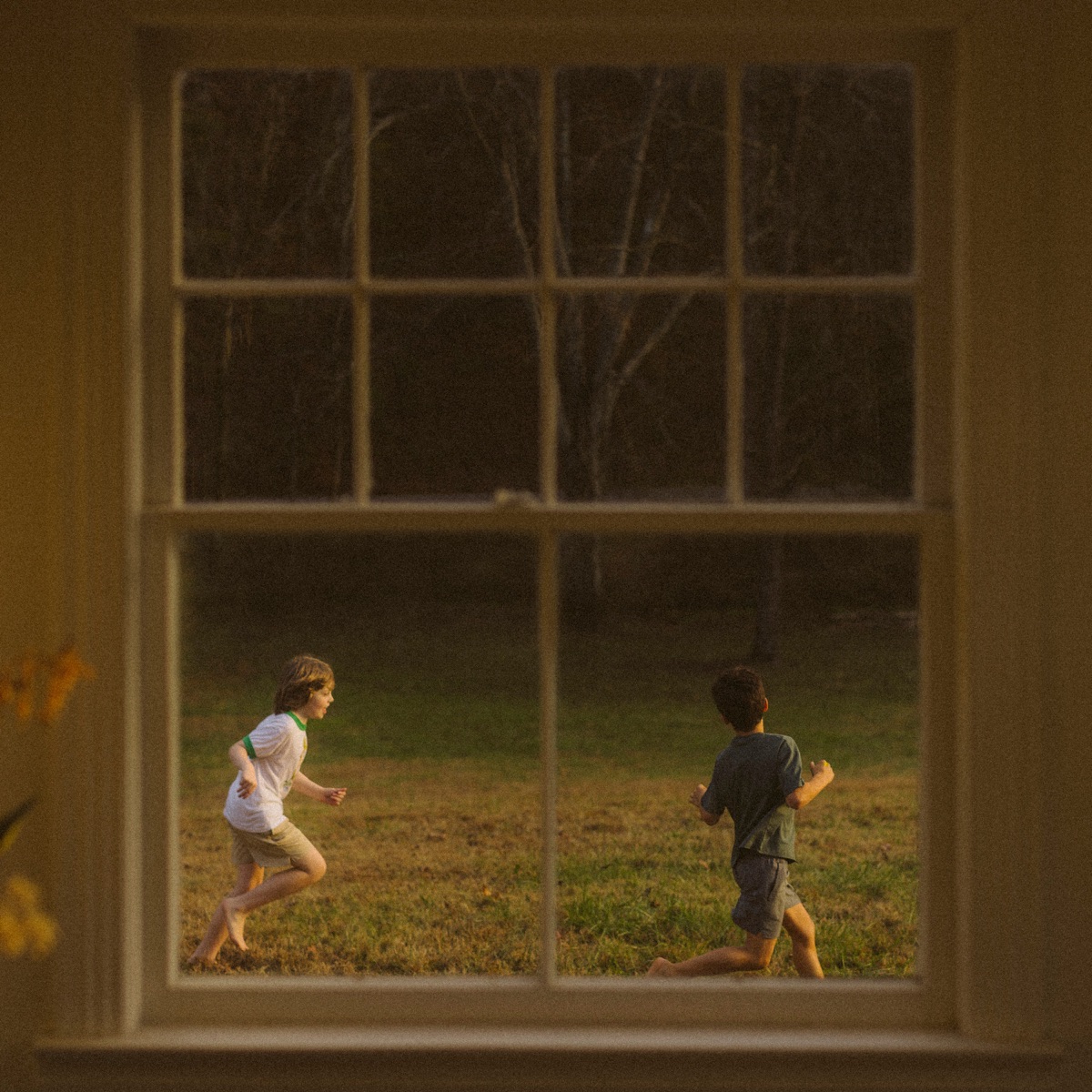 The Great Divide: The Last Of The Bugs by Noah Kahan album artwork