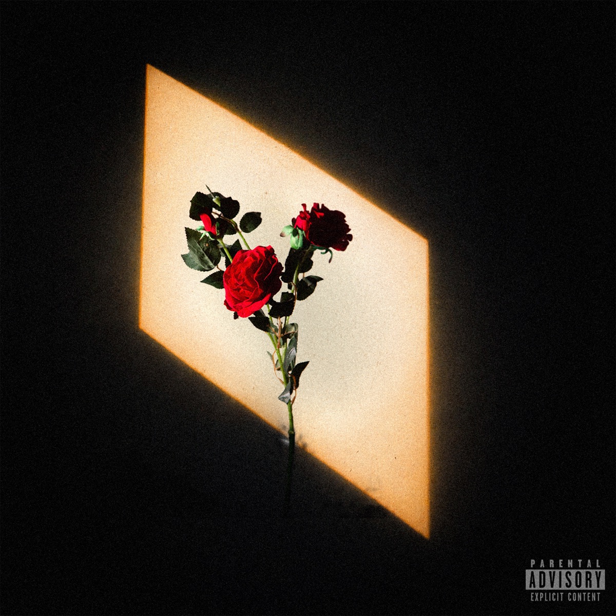 Shox - Single by LOS FORÁNEOS, Youngboi Totty, Sir Sirio & Killua97 album cover