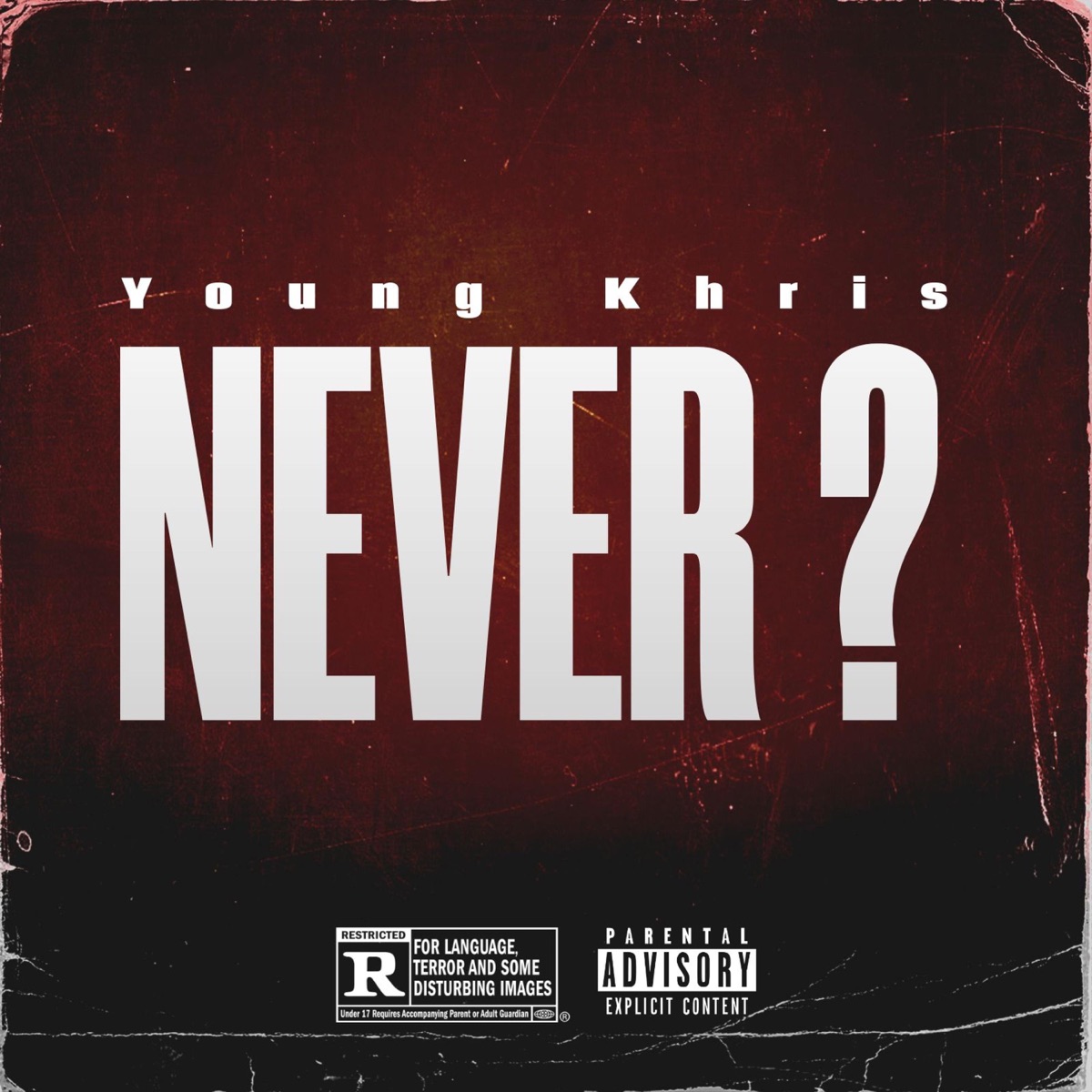 Never Question - Single by Young Khris album cover