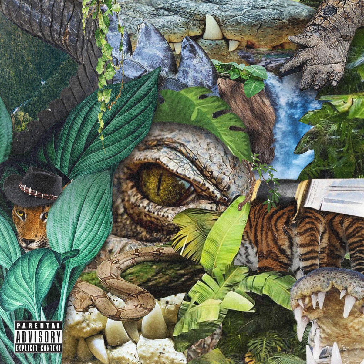 Dunn Dee by Chef Bogey & The Dunnas album cover