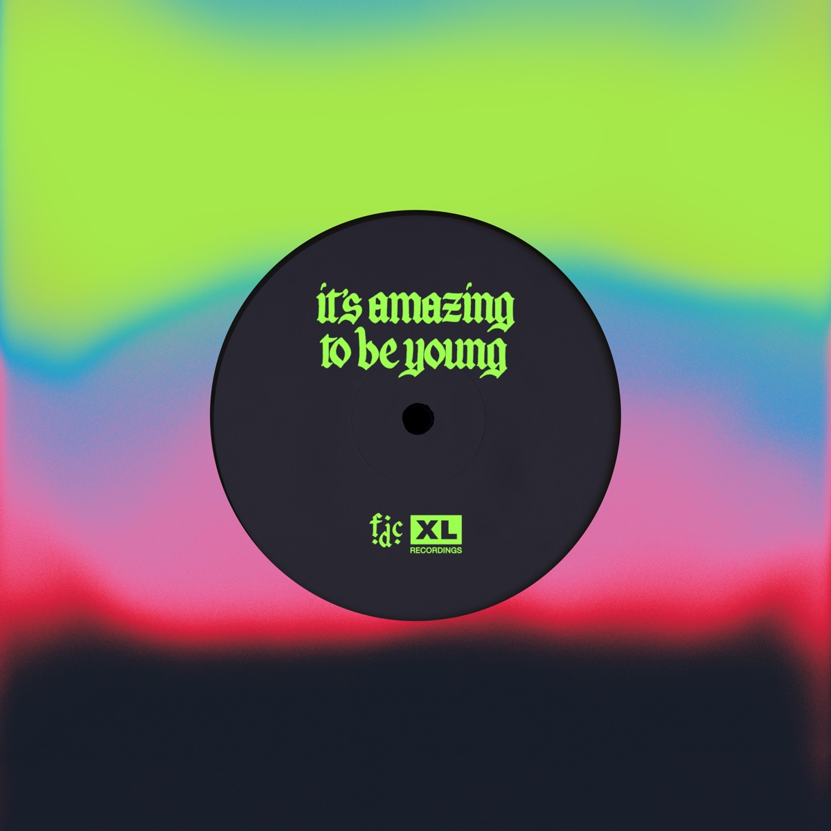 It's Amazing To Be Young - Single by Fontaines D.C. album cover