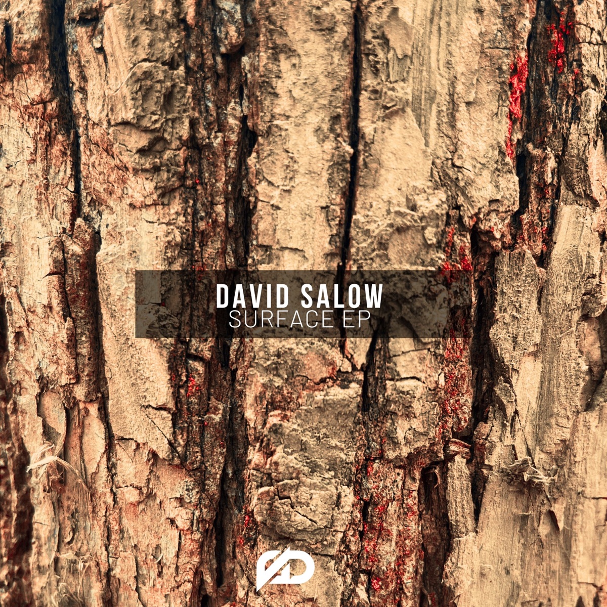 Surface - Single by David Salow album cover
