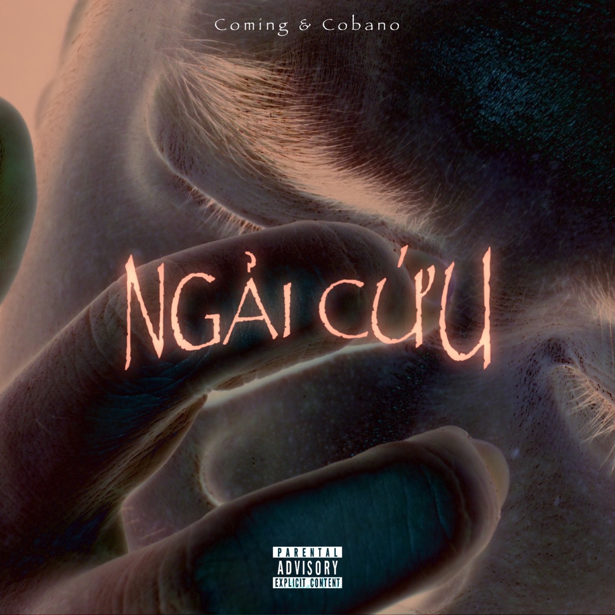 Ngải Cứu (feat. COMING) - Single by Cobano album cover