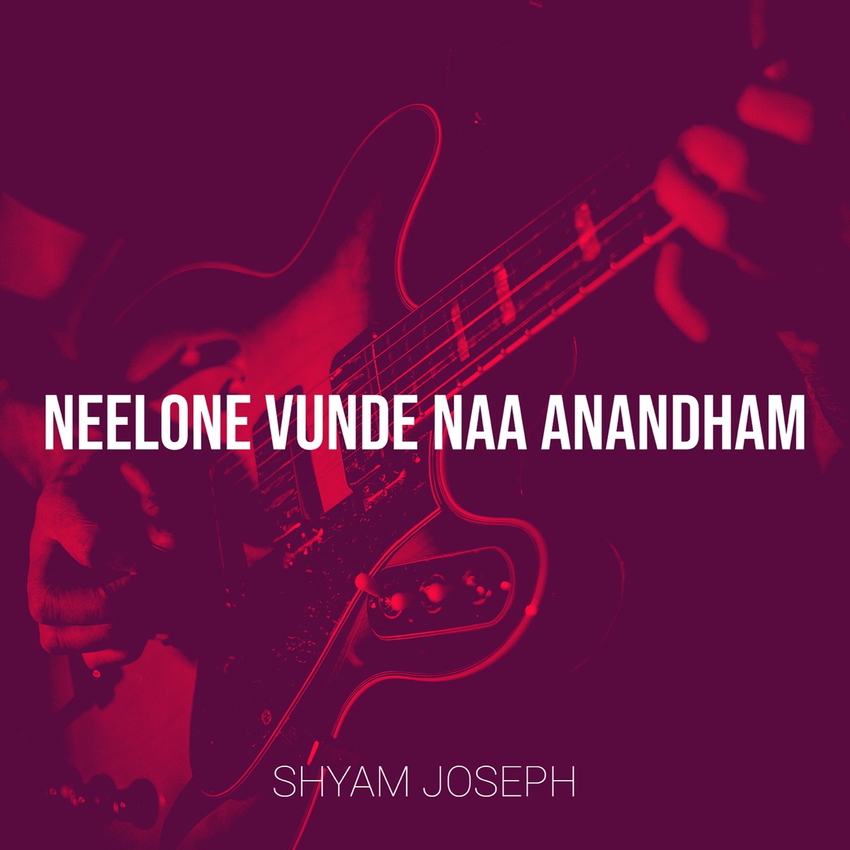 Neelone Vunde Naa Anandham - Single by Shyam Joseph album cover