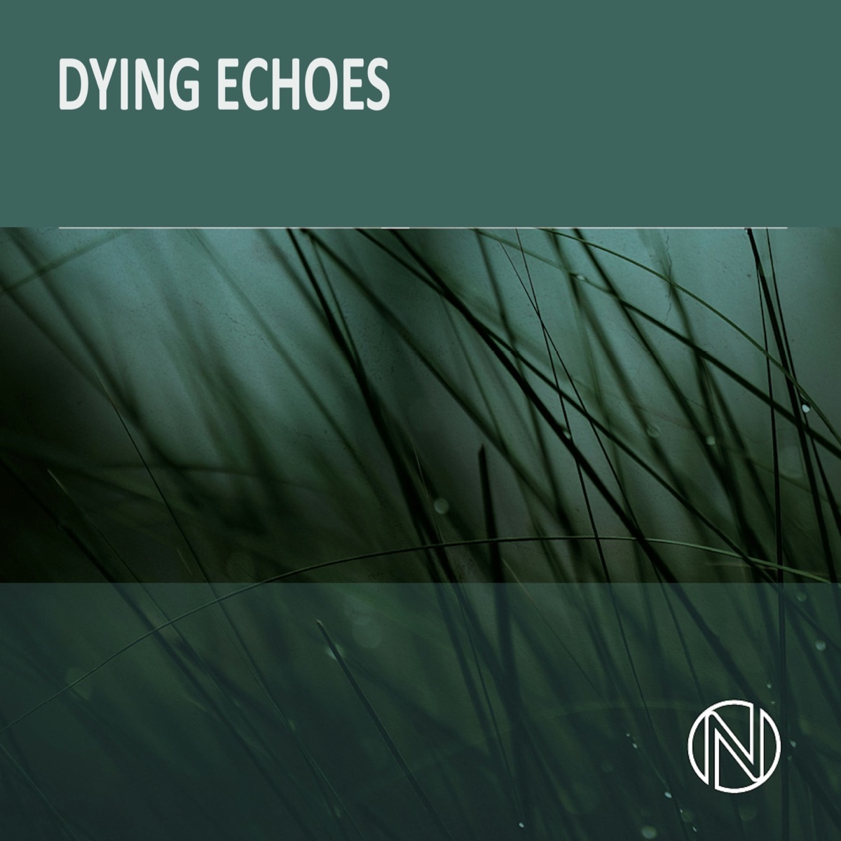Dying Echoes - EP by Thomas Bellingham & Iratxe Ibaibarriaga Ibeas album cover
