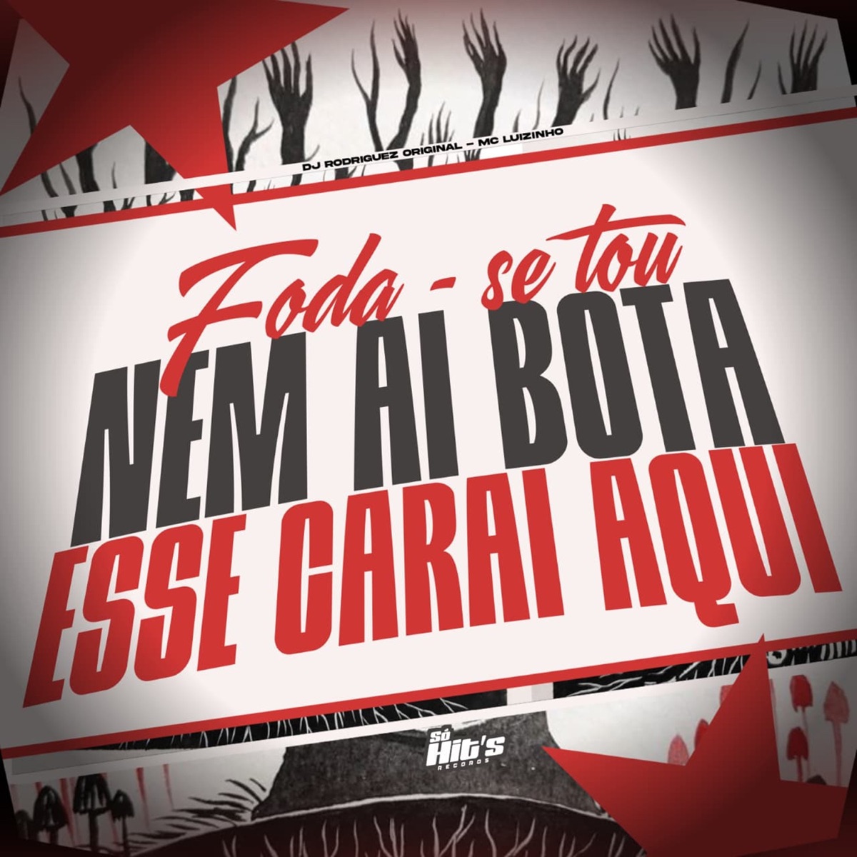 Foda - se Tou Nem ai Bota Esse Carai Aqui - Single by DJ RODRIGUEZ ORIGINAL, Mc Luizinho & MC Leticia album cover