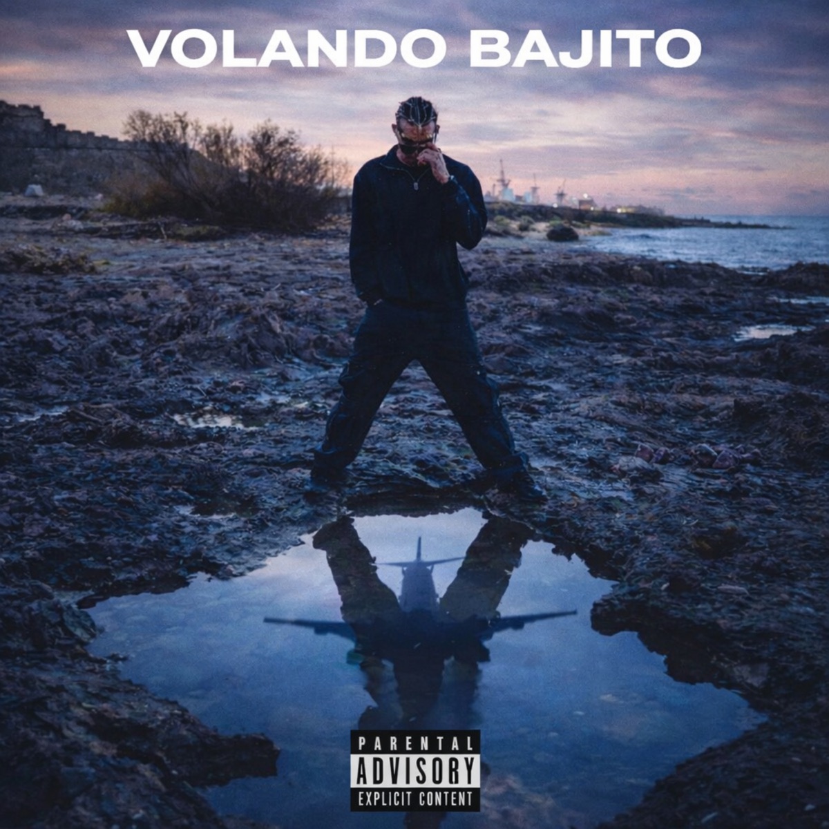 Volando Bajito - Single by Nico Calderon album cover