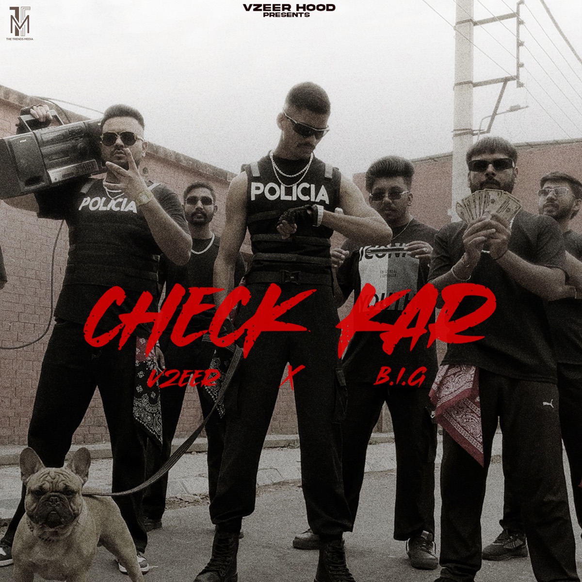 Check Kar - Skit (feat. Big) - Single by Vzeer album cover