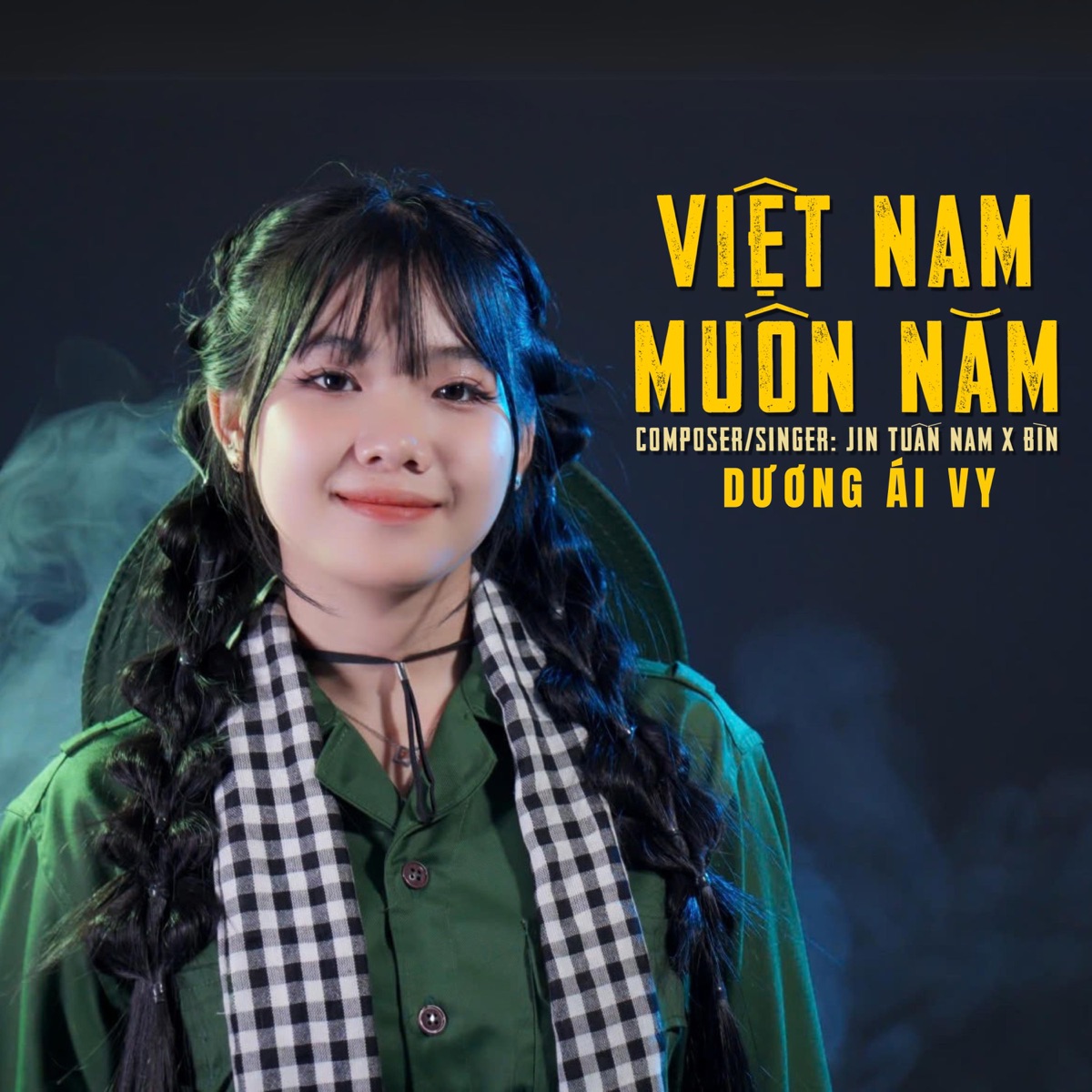 Việt Nam Muôn Năm - Single by Dương Ái Vy, BÌN & Jin Tuấn Nam album cover