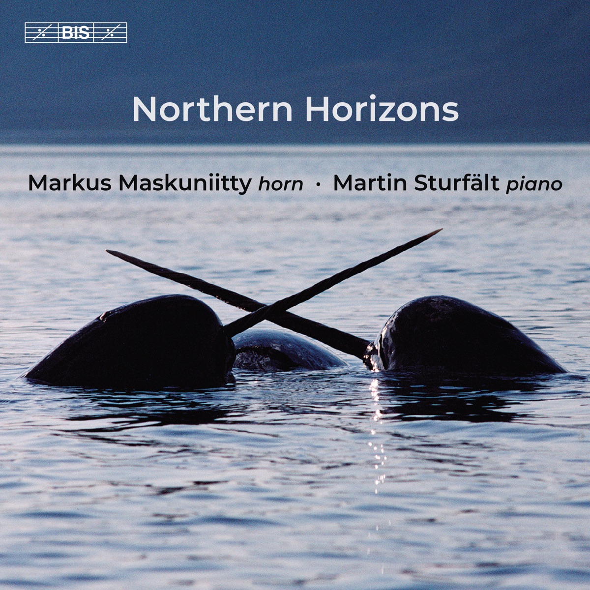 Northern Horizons by Markus Maskuniitty & Martin Sturfält album cover