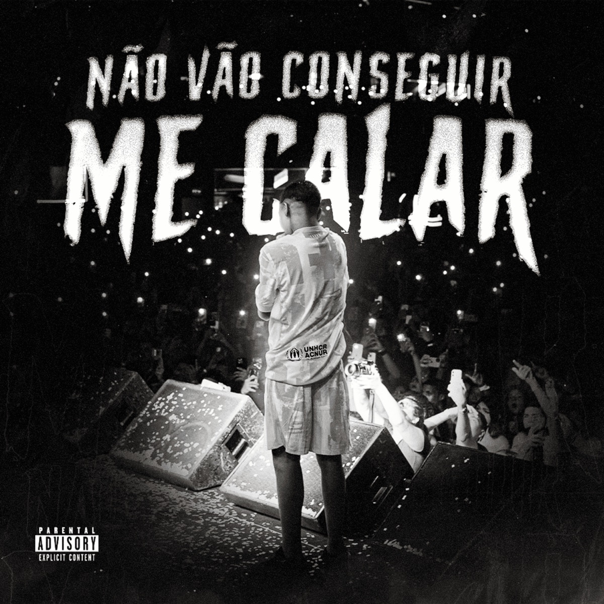 Não Vão Conseguir me Calar - Single by Luanzin & Pedro Aurora album cover