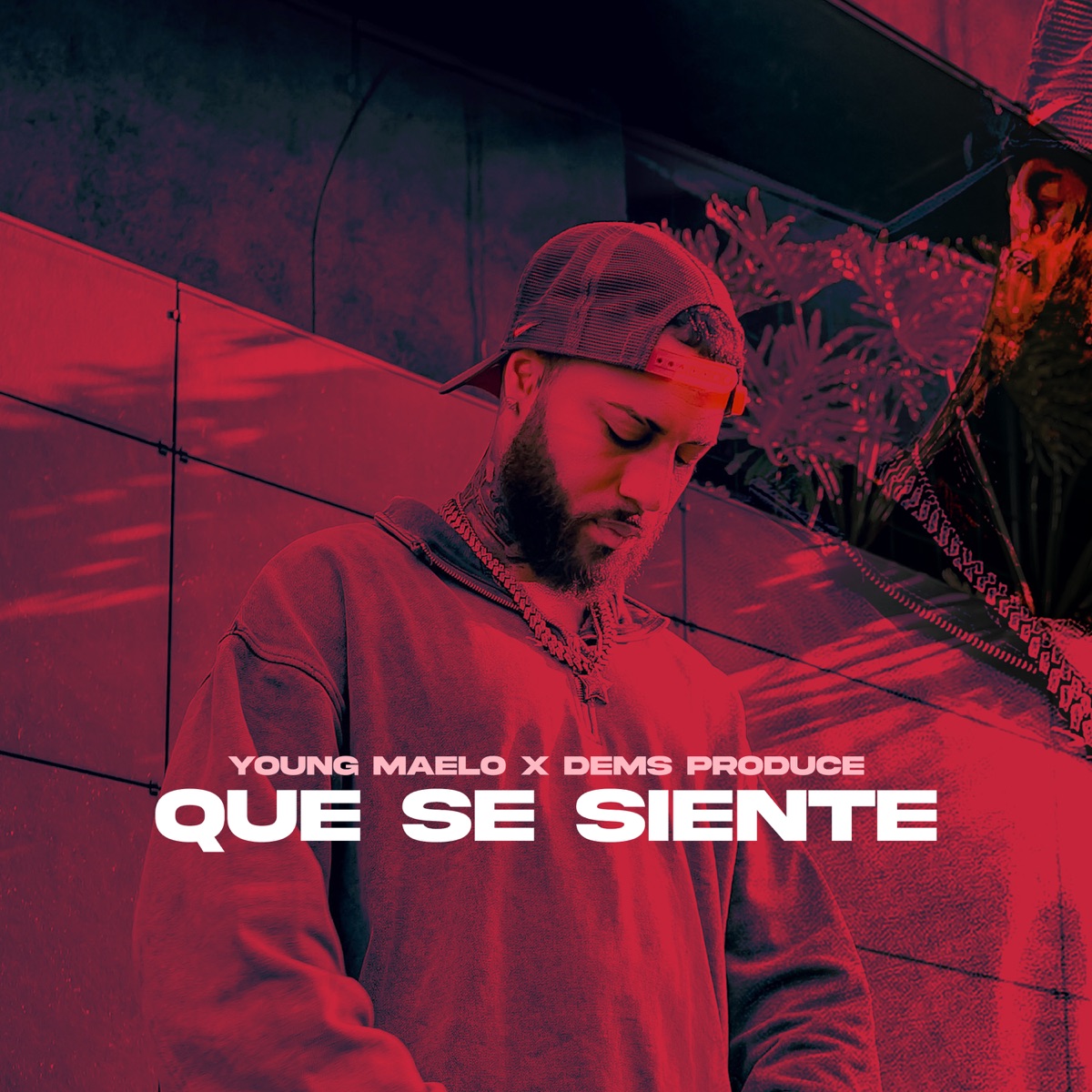 Que Se Siente - Single by Young Maelo album cover