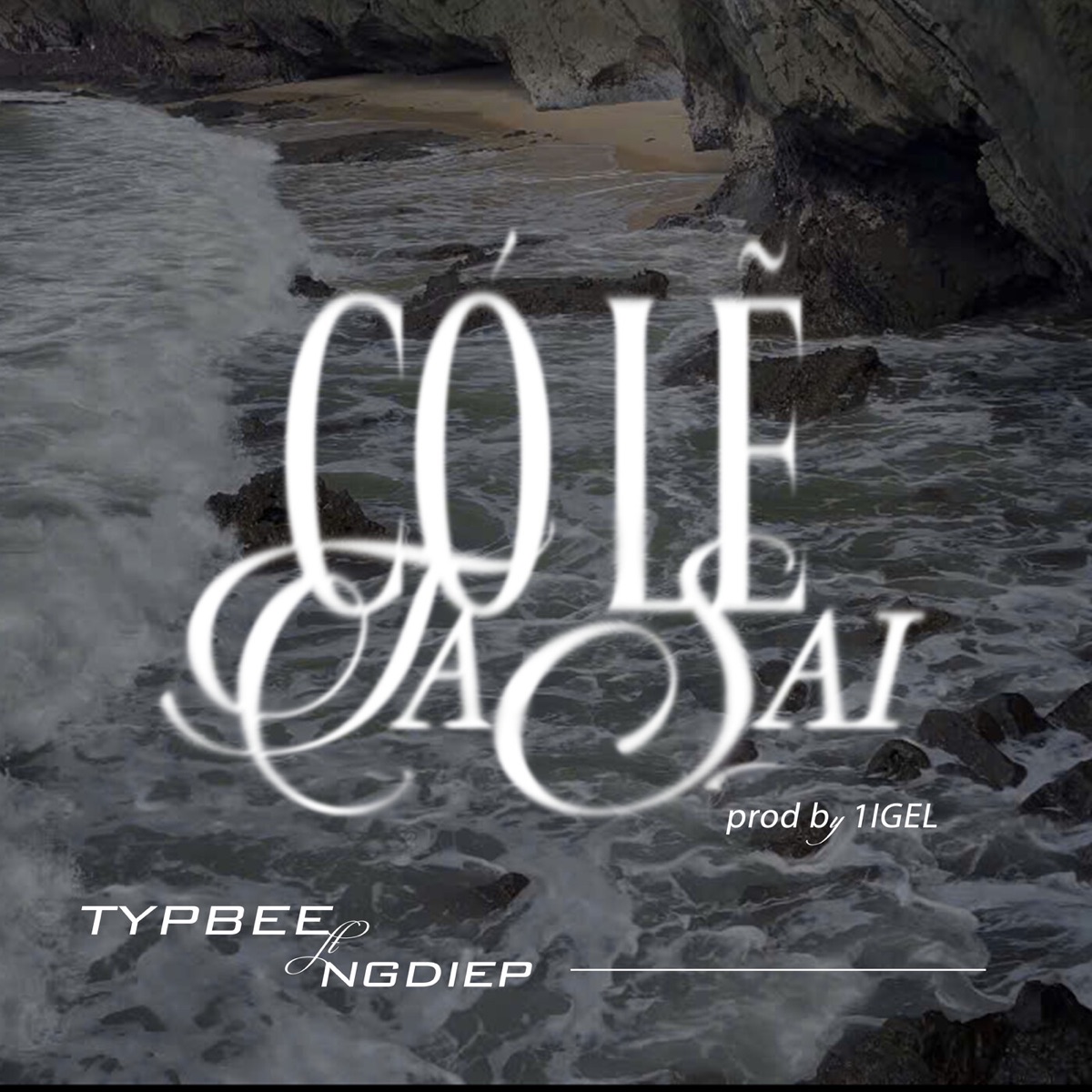 Có Lẽ Ta Sai - Single by typbee & Ngdiep album cover