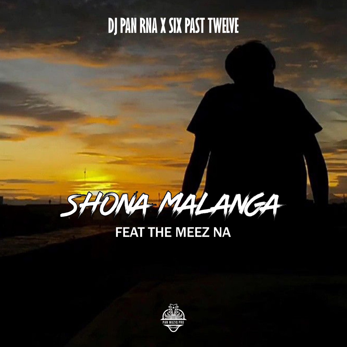 Shona Malanga (feat. Six Past Twelve & The Meez NA) - Single by DJ PAN RNA album cover