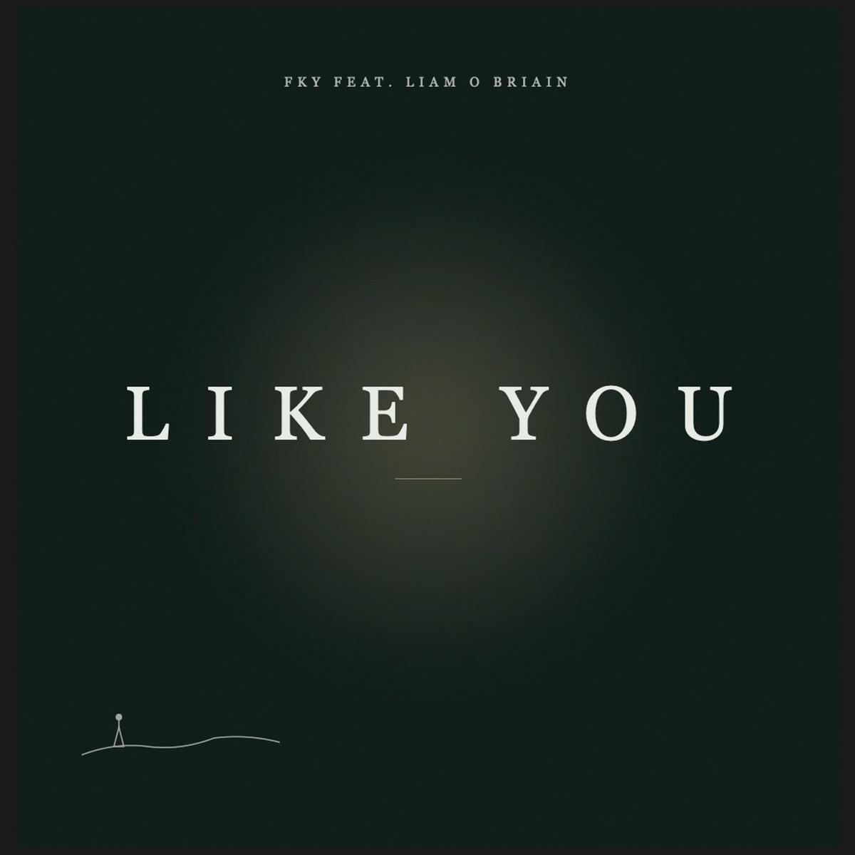 Like You (feat. Liam O Briain) - Single by FKY album cover