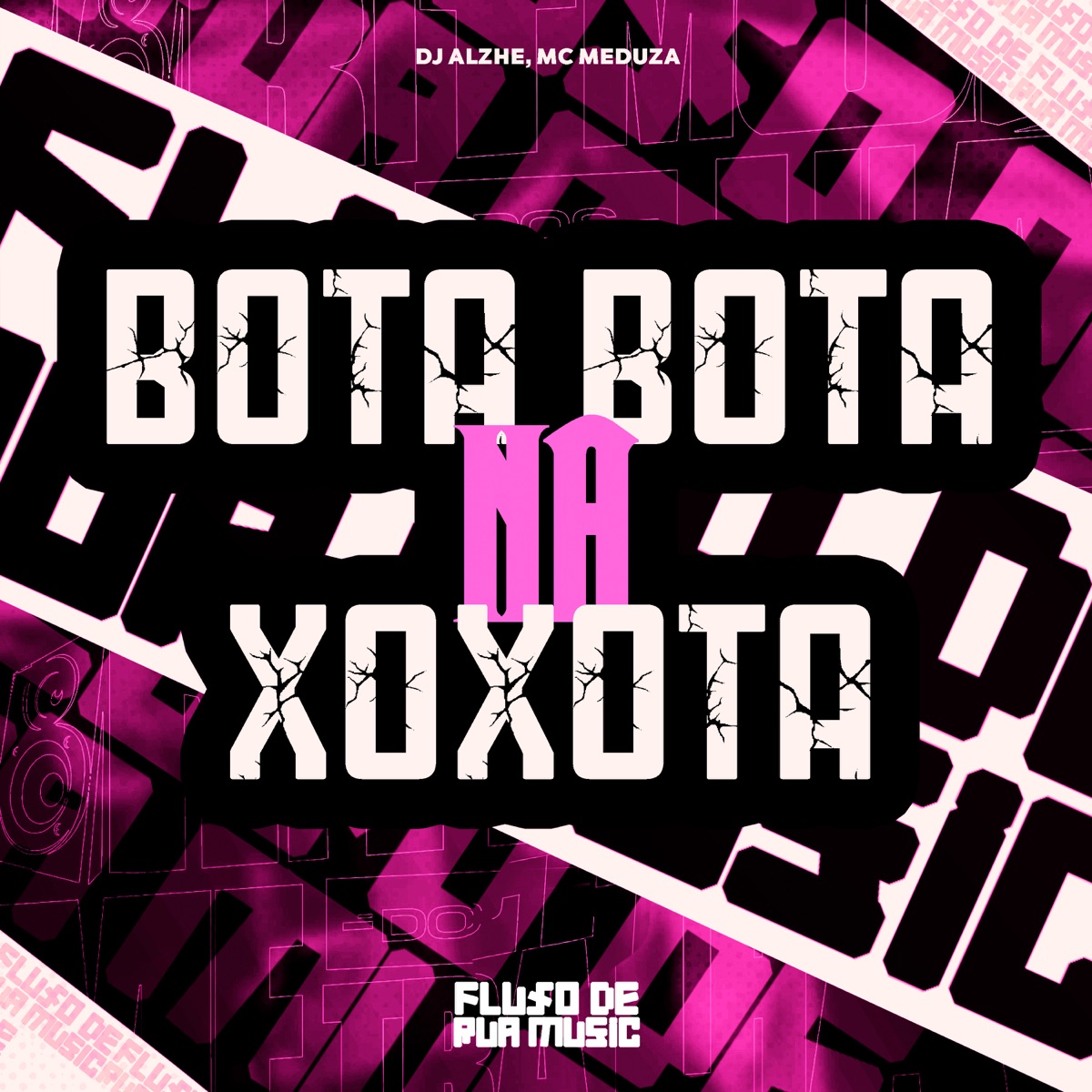 Bota Bota na Xoxota (feat. MC MEDUZA) - Single by Dj Alzhe album cover