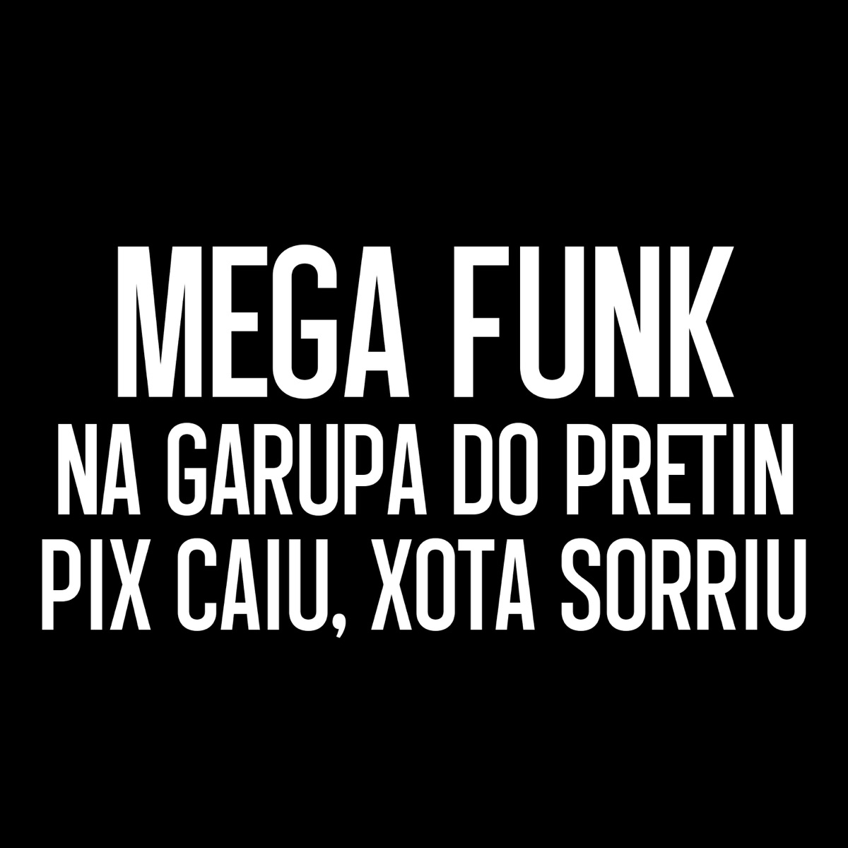 MEGA FUNK NA GARUPA DO PRETIN x PIX CAIU XOTA SORRIU (feat. DJ Guina, MC Zudo Boladão, MC Wallace G, MC GSEIS, WR Original, Pequeno Diamante & DJ JHOW ZS) - Single by ItaloBeat DJ album cover