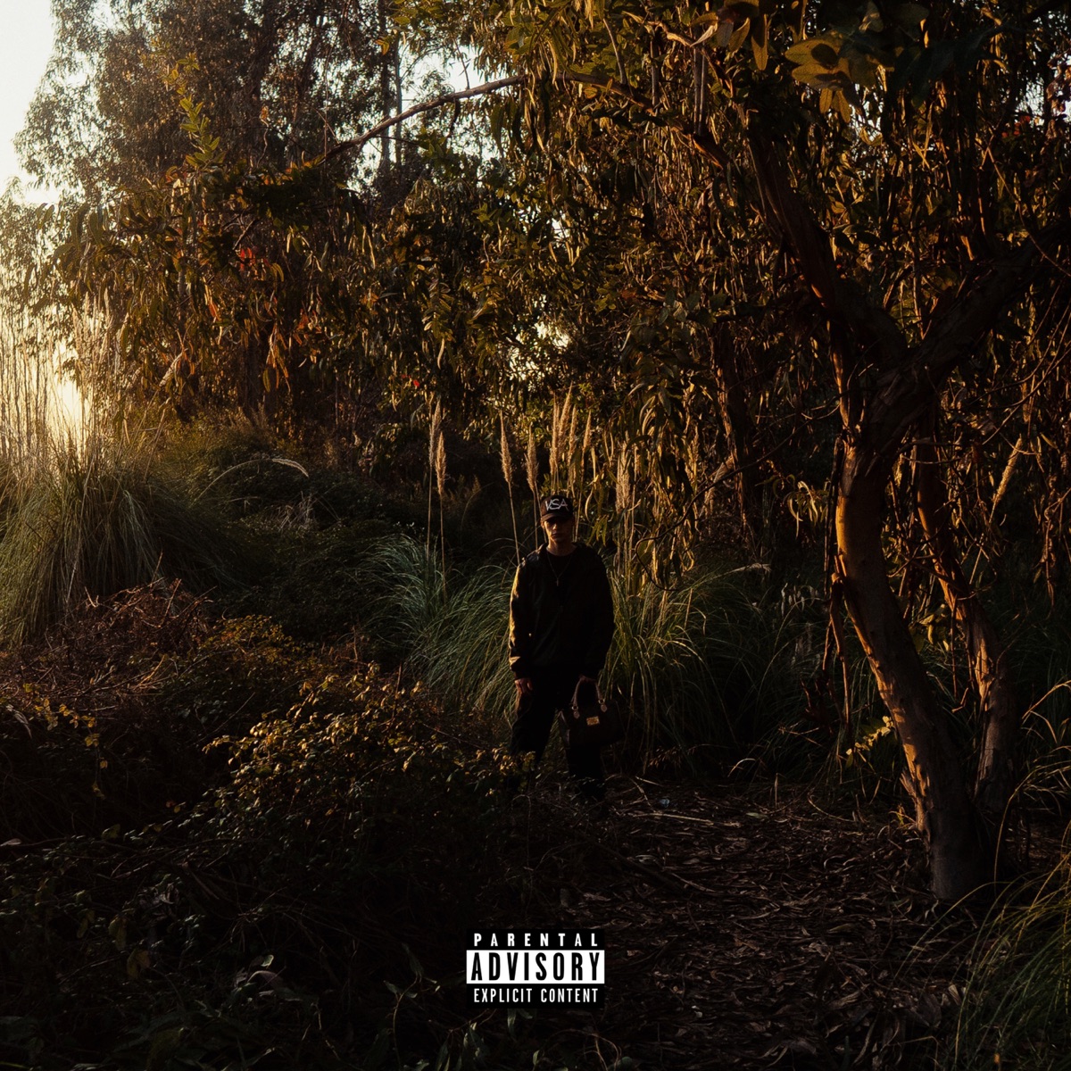 Pecando (feat. Cytrax) - Single by Troy album cover