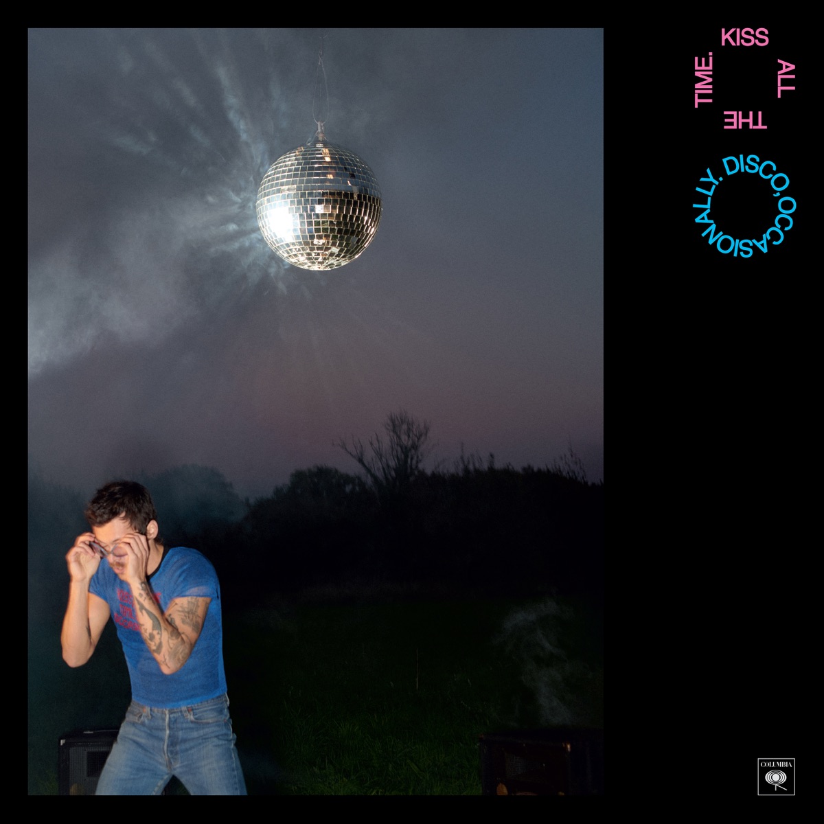 Kiss All The Time. Disco, Occasionally. by Harry Styles album cover artwork