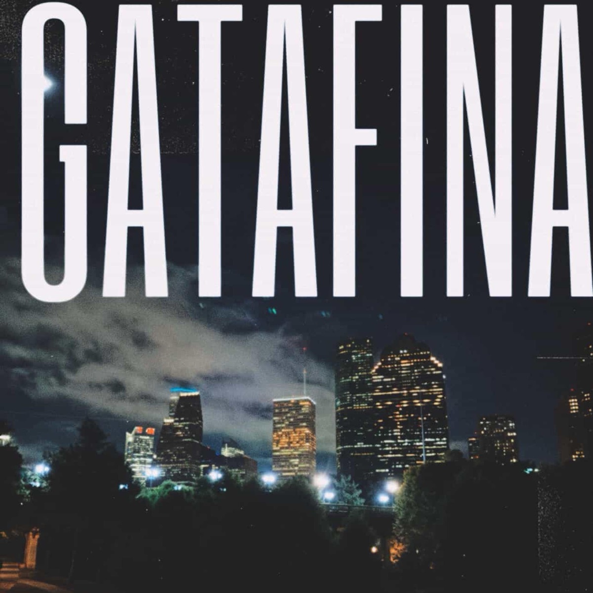 Gatafina (feat. $amu) - Single by Hoesway album cover