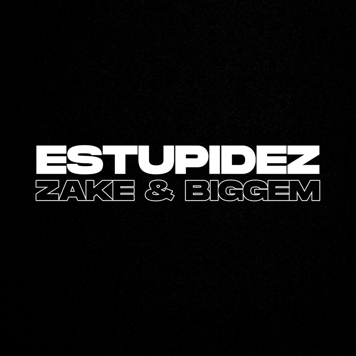 Estupidez - Single by Zake & Biggem album cover