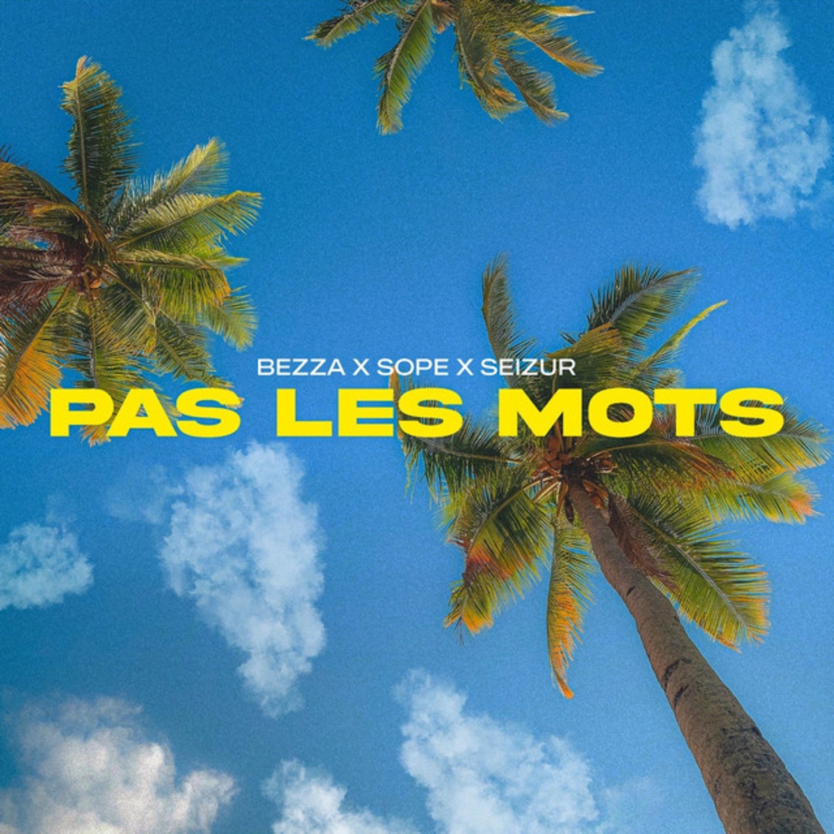 Pas les mots (feat. DINASTICA) - Single by Bezza, Sope & Seizur album cover
