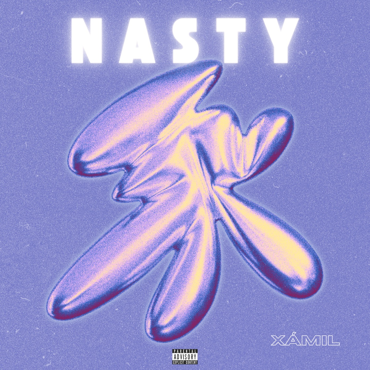 Nasty - Single by Xámil & Musacapela Récord album cover