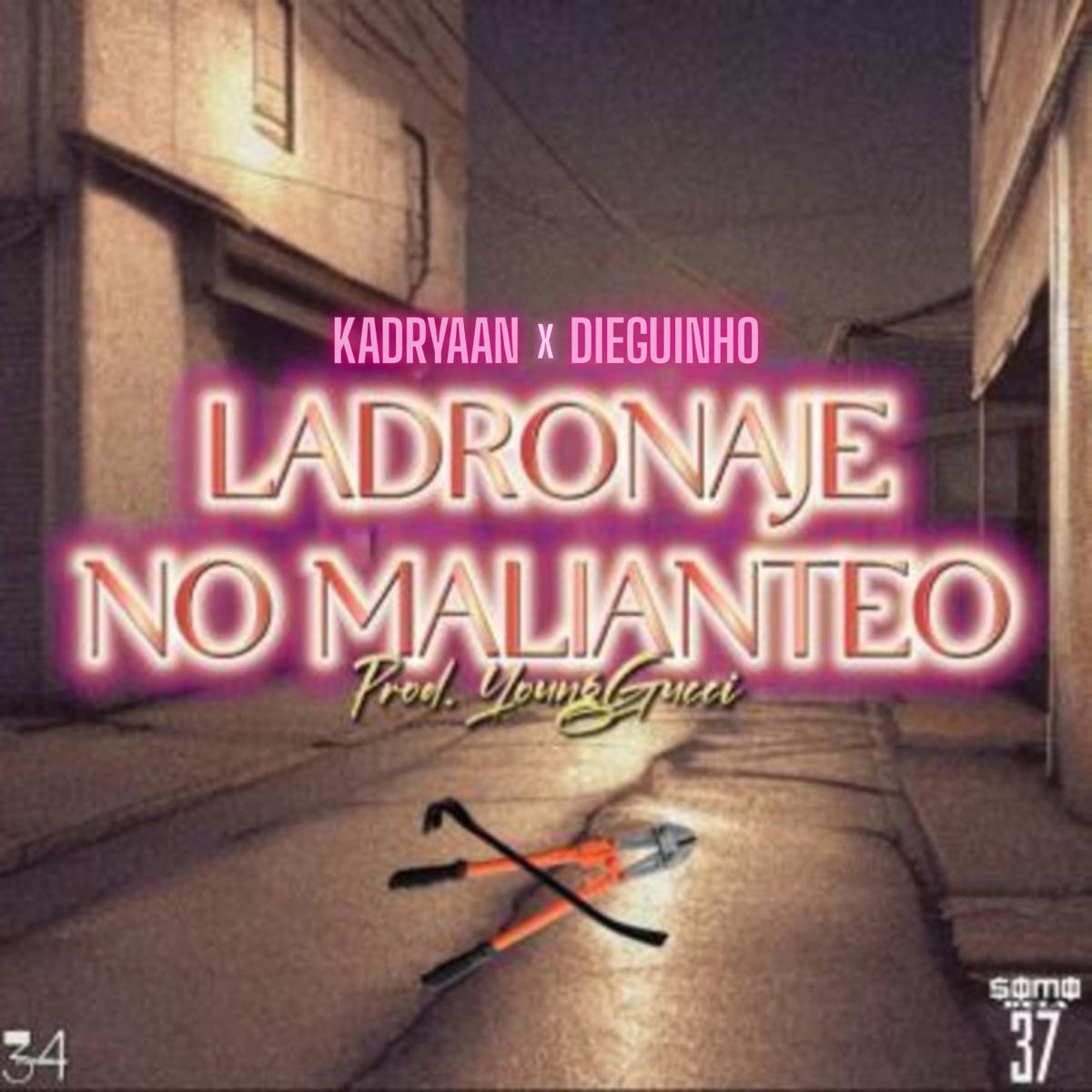 Ladronaje No Malianteo - Single by Kadryaan & Dieguinho album cover