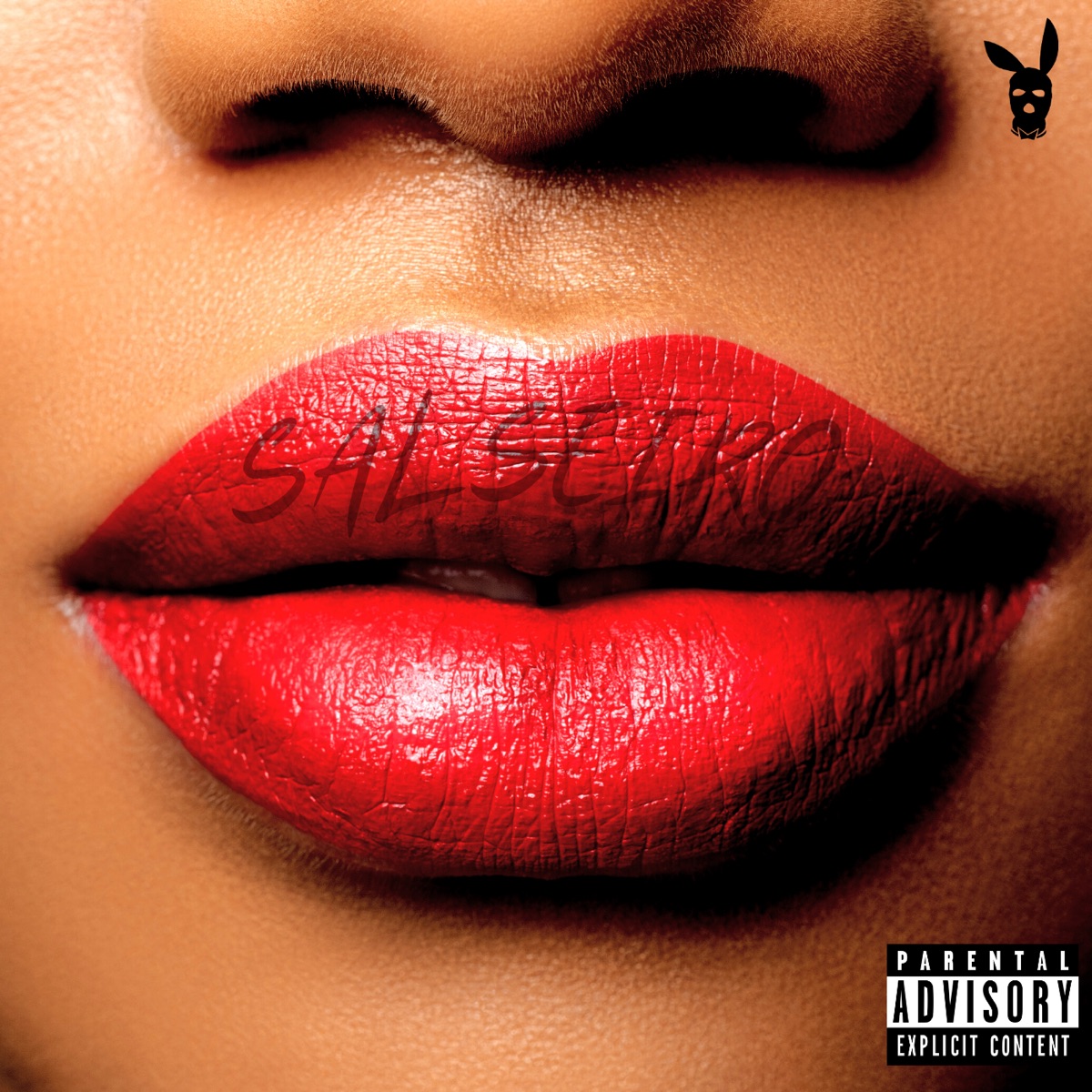 Salseiro (feat. Aimar) - Single by Playboy Luzk, FamousKyo & Pugli album cover