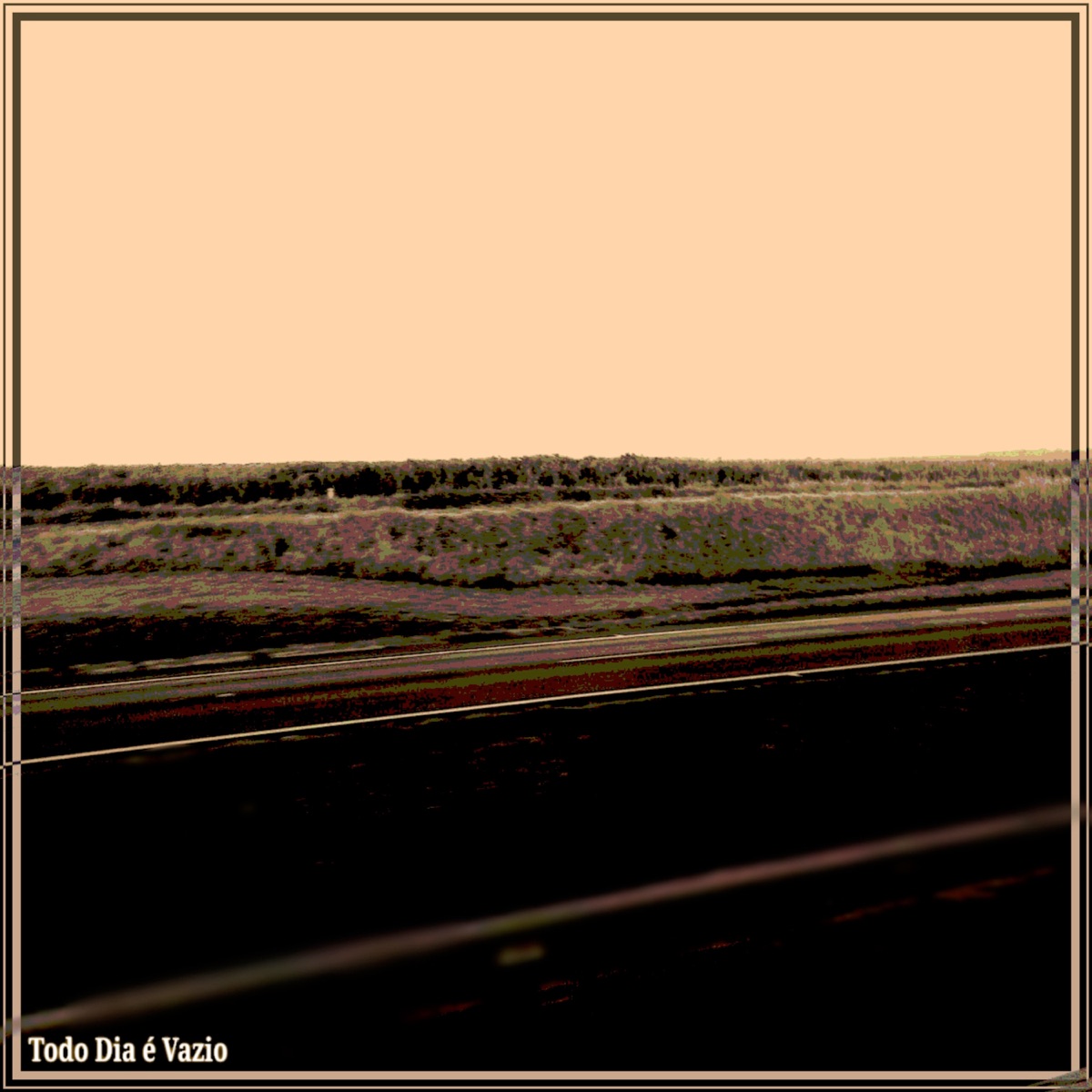 Todo Dia é Vazio (feat. Flower) - Single by cappy album cover