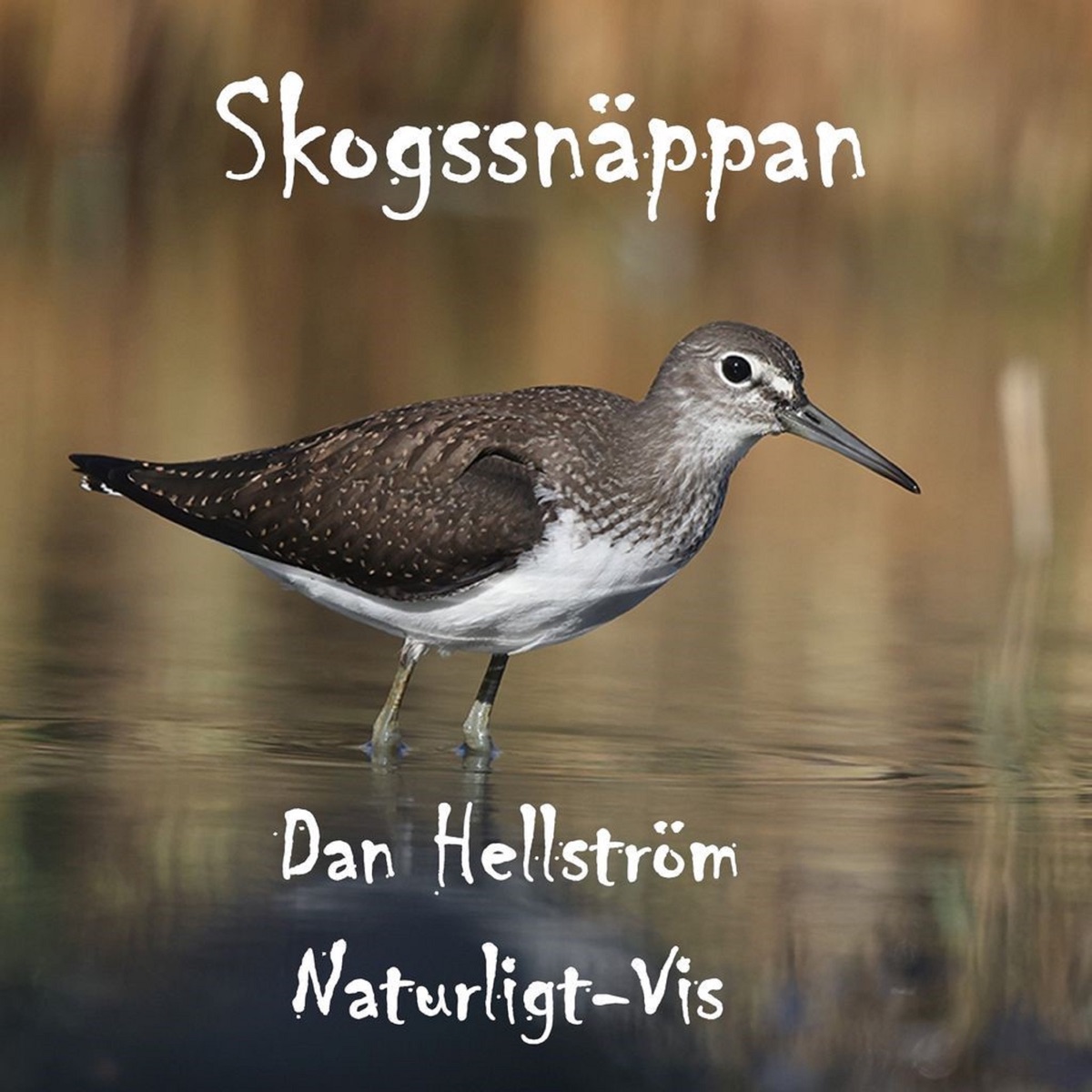 Skogssnäppan (feat. Niss-Kerstin Hallgren, Ewan Svensson & Vanja Holm) - Single by Dan Hellström & Naturligt-Vis album cover