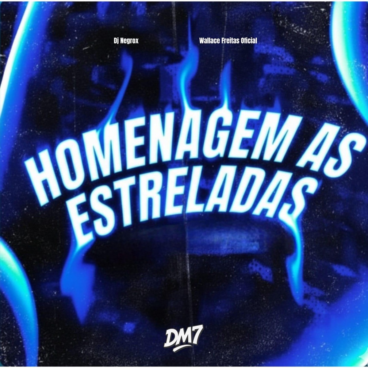 Homenagem as Estreladas - Single by DJ NEGROX & Wallace Freitas Oficial album cover