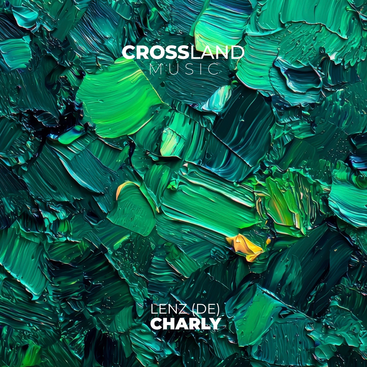 Charly - Single by Lenz (DE) album cover