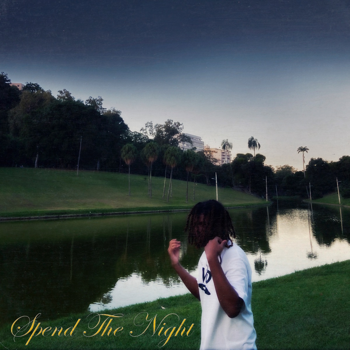 Spend The Night by ilyzak album cover