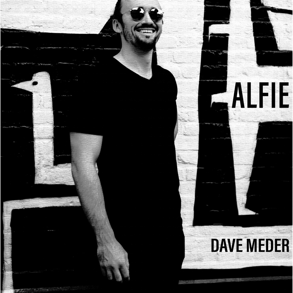 Alfie - Single by Dave Meder album cover