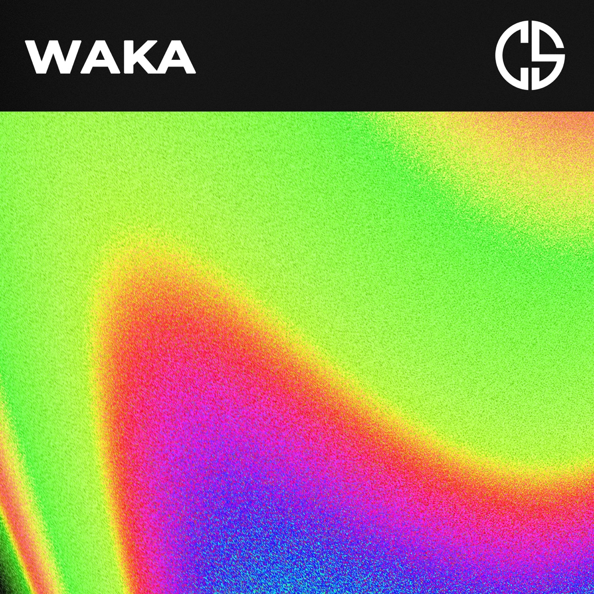 Waka - Single by Cosmo & Skoro album cover