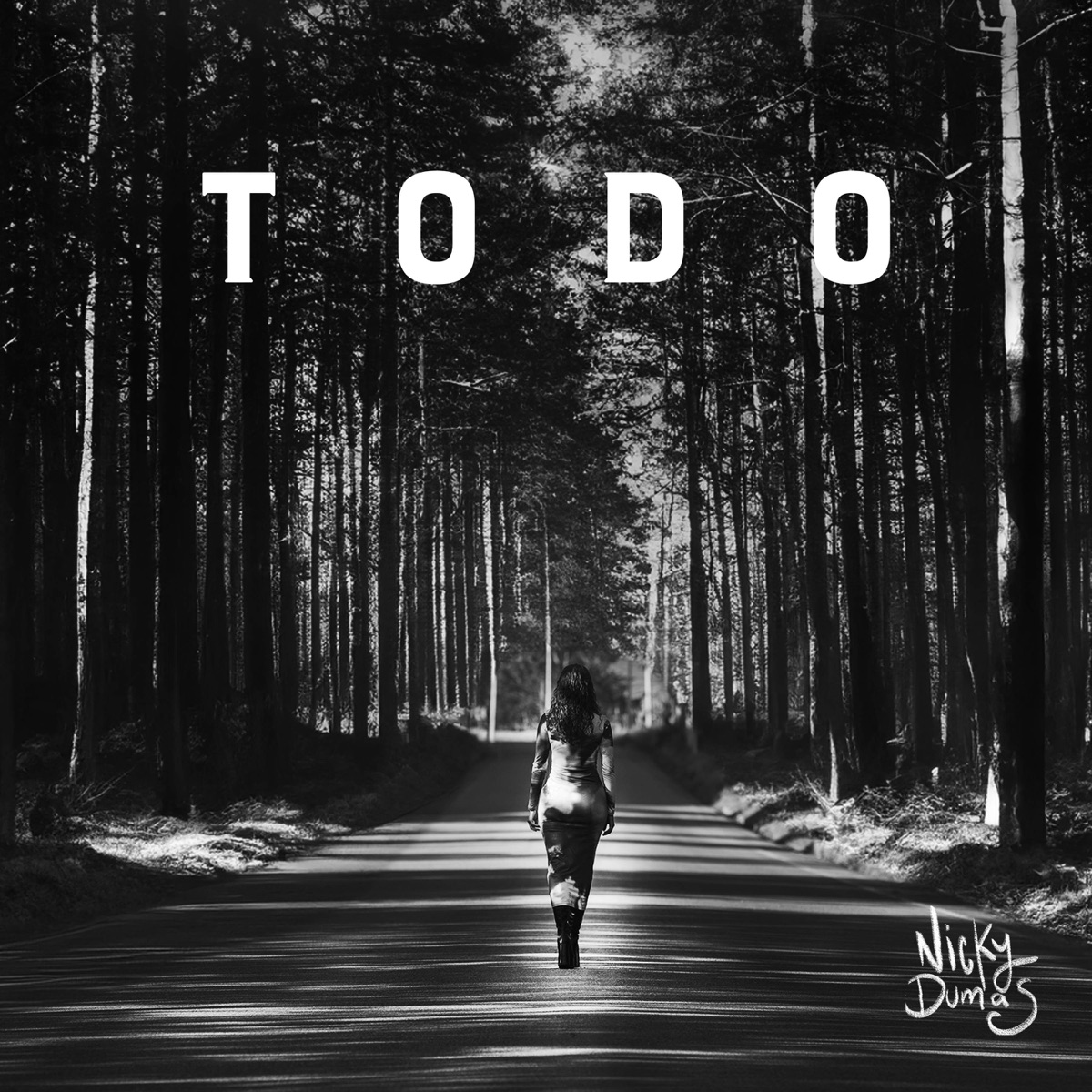 todo - Single by Nicky Dumas album cover